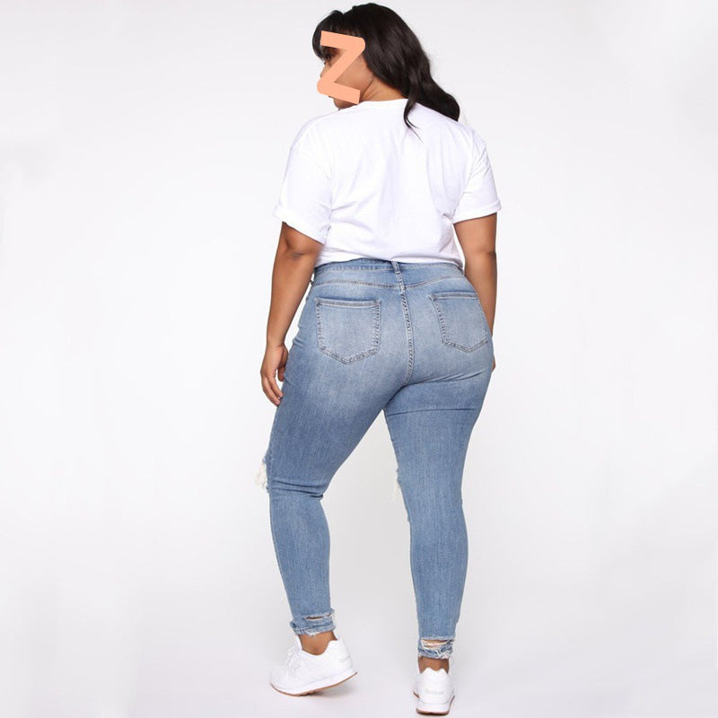Zerrissene Damenjeans in Übergröße