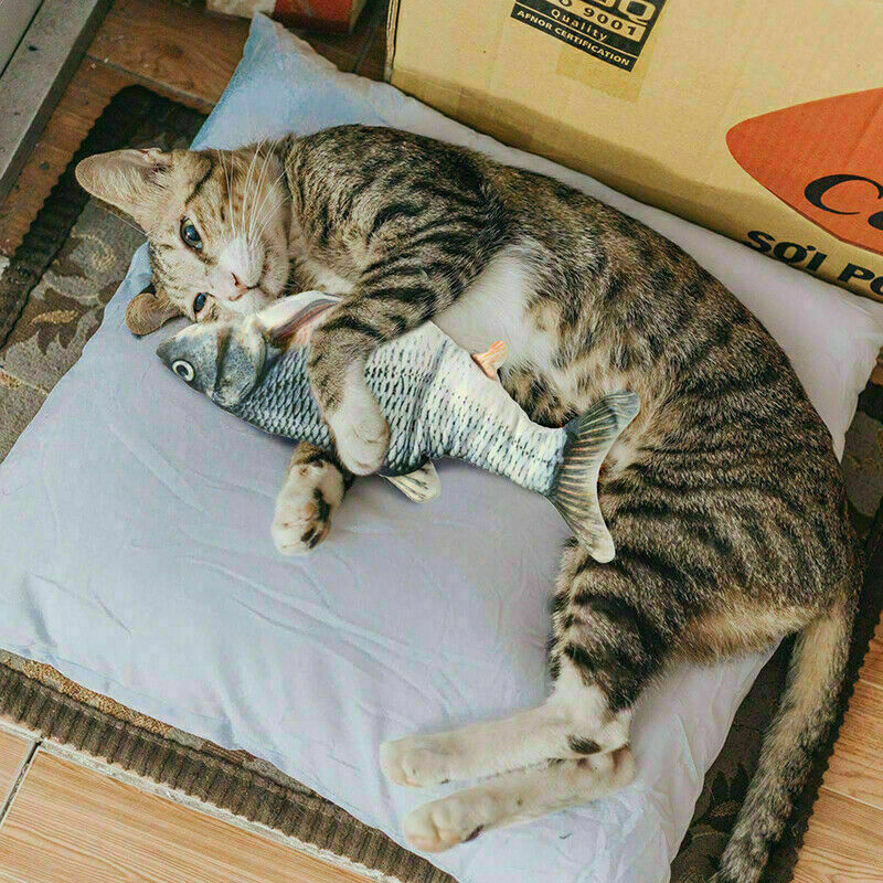 Elektrische Fischspielzeug die Neugier Ihrer Katze zu wecken