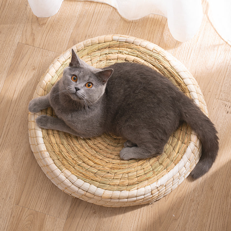 Teng Wok Fühlte Haus Katze Bett