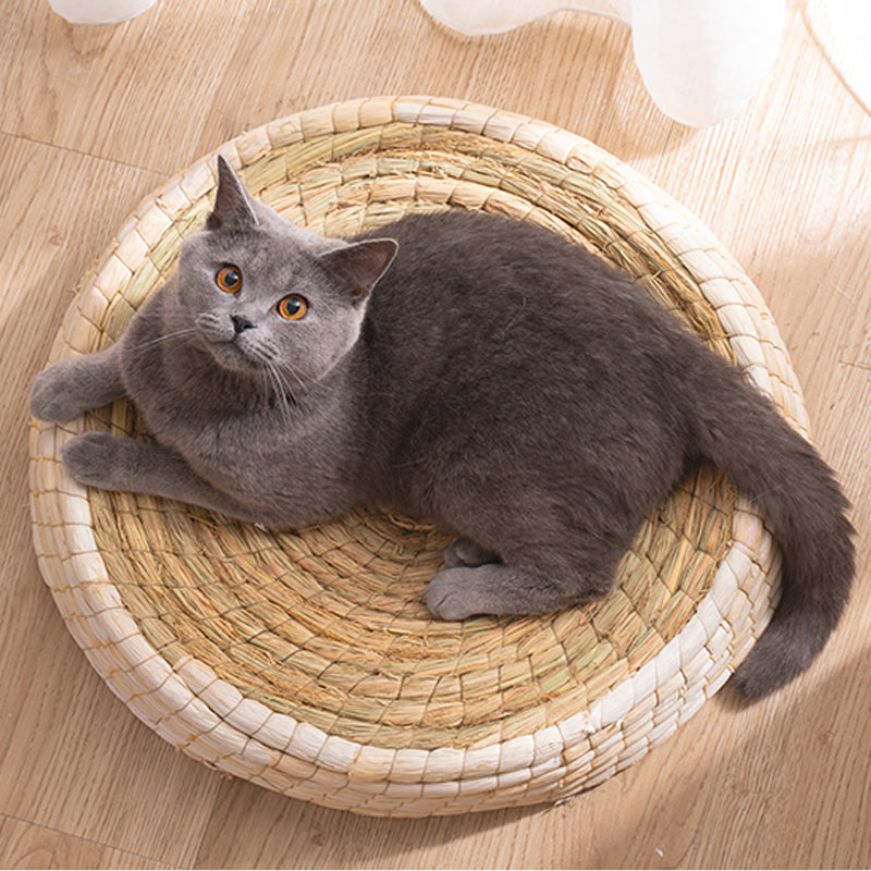 Teng Wok Fühlte Haus Katze Bett