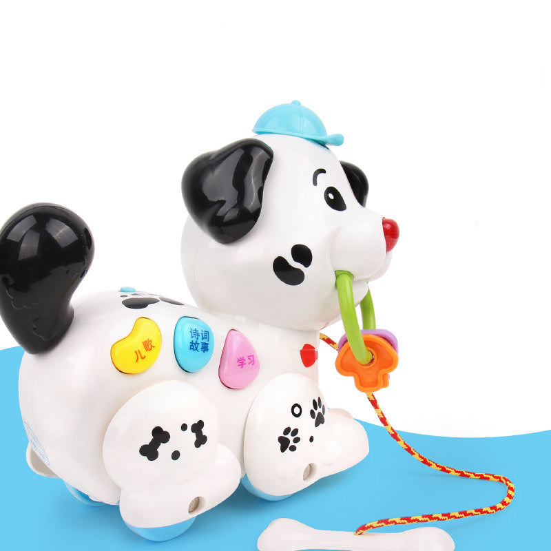 Hund-Frühförderungsspielzeug