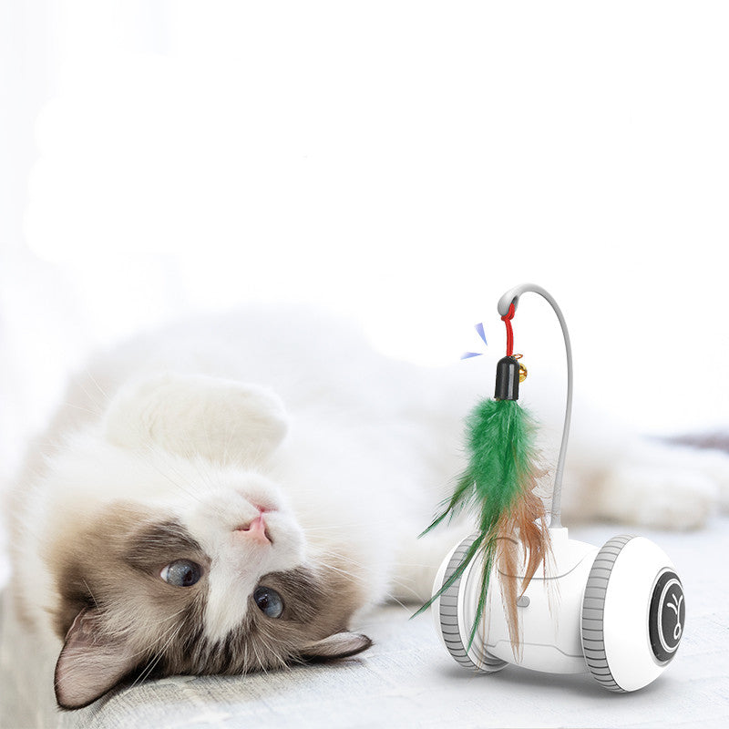 Katzenspielzeug mit austauschbaren Köpfen