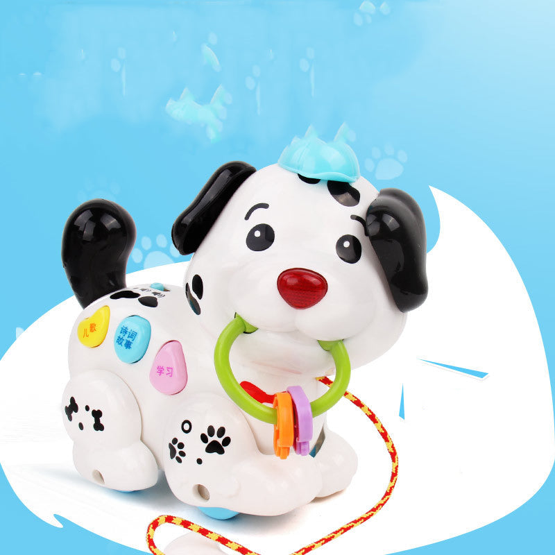 Hund-Frühförderungsspielzeug