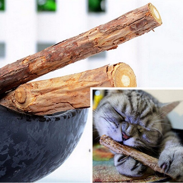 5 PCS Matatabi-Katzen-Spielzeuge