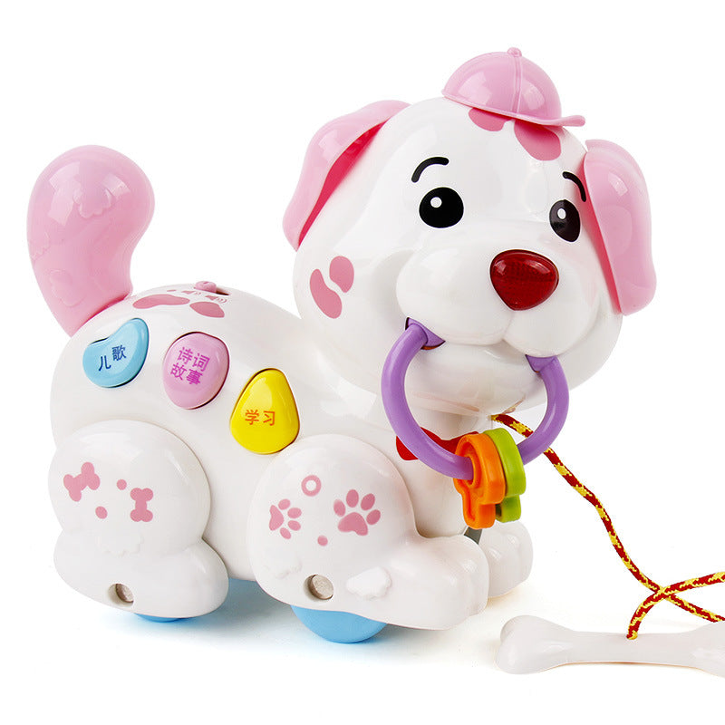 Hund-Frühförderungsspielzeug