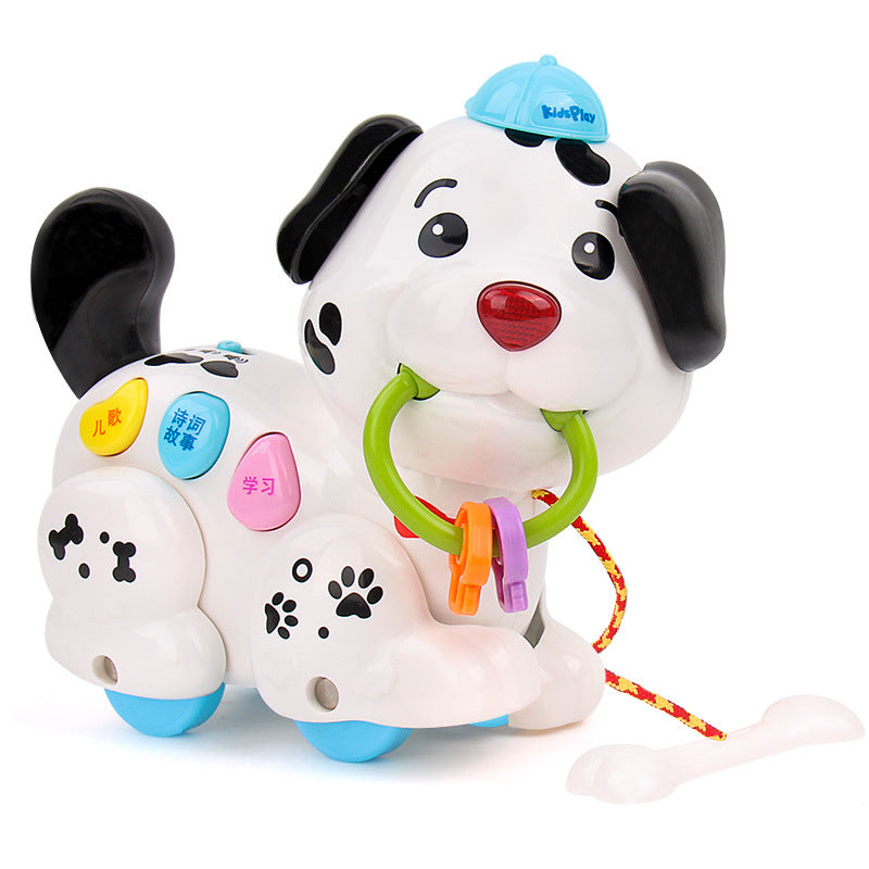 Hund-Frühförderungsspielzeug
