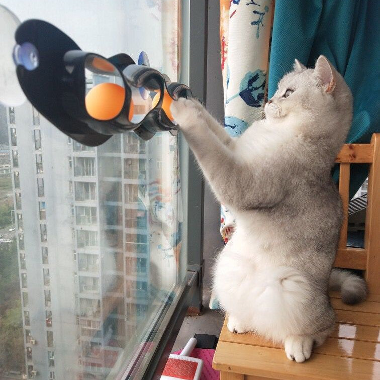 Katzen Spielzeug Fenster Track Ball