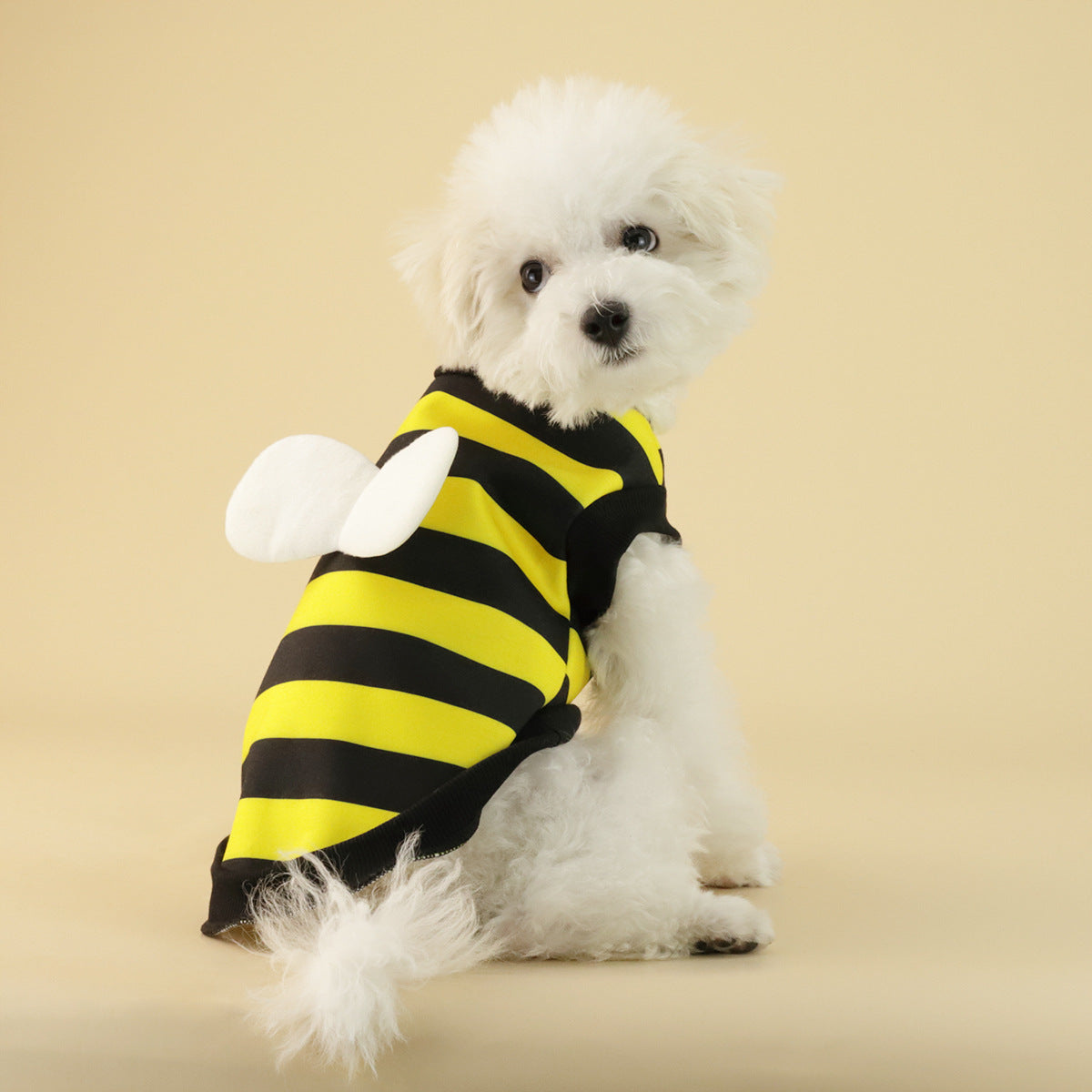 Hunde-Pulli aus Fleece