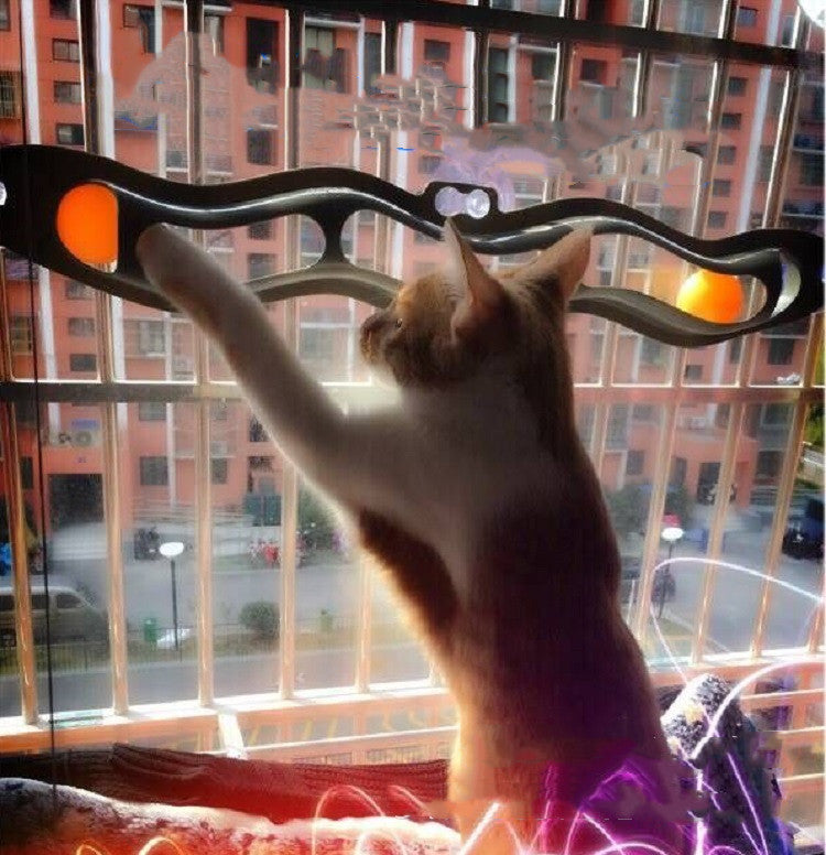 Katzen Spielzeug Fenster Track Ball