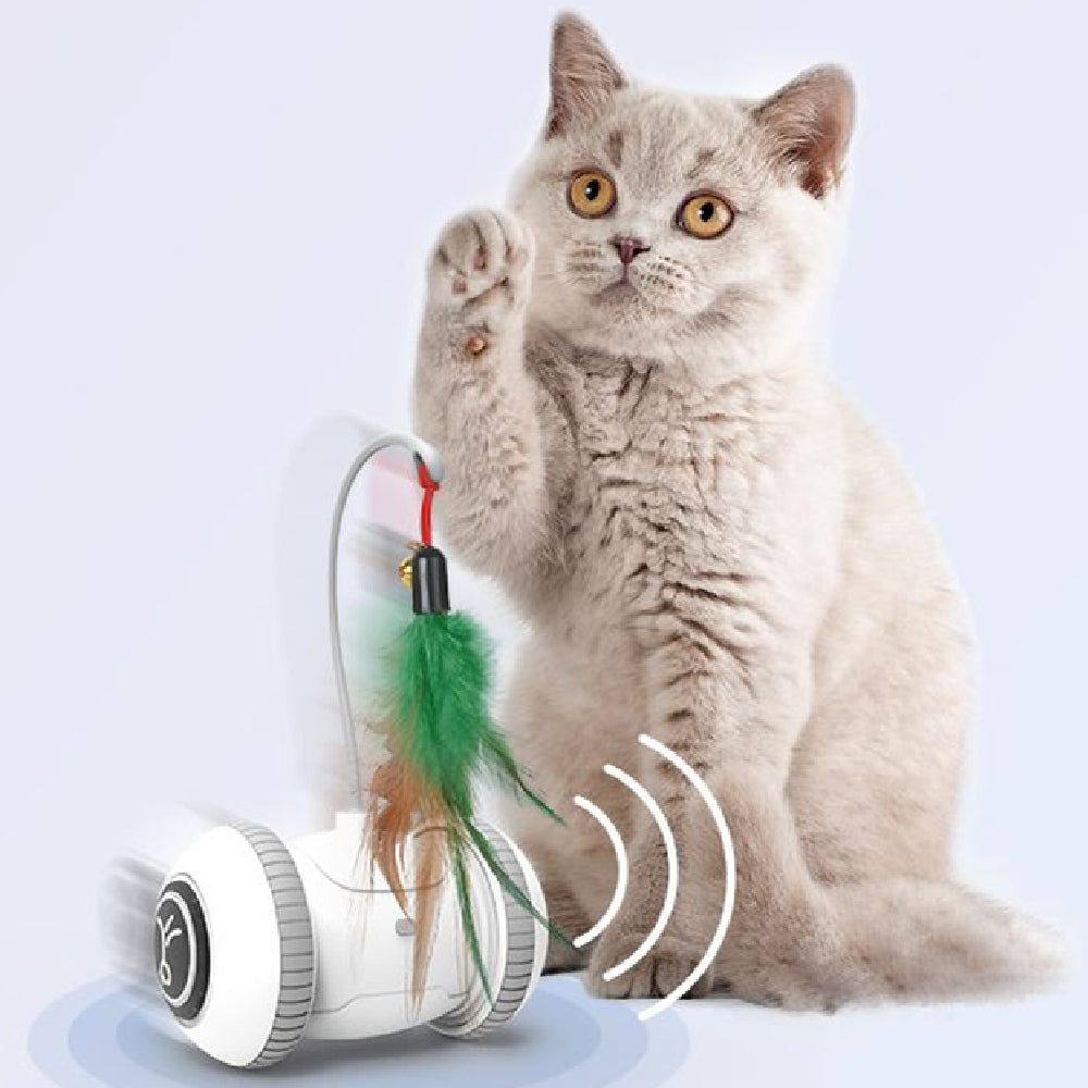 Katzenspielzeug mit austauschbaren Köpfen